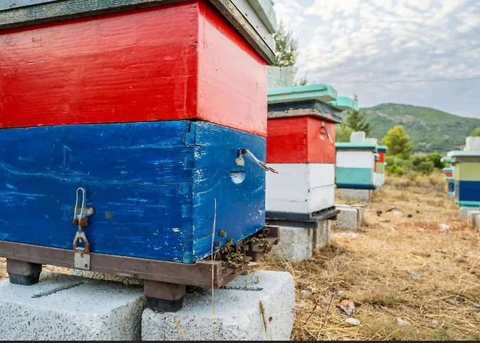 Apartment La Casa Di Linda